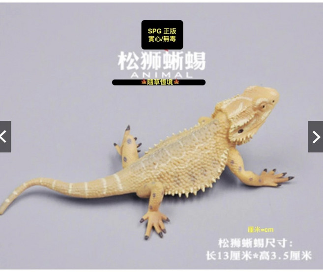 SPG 正版 松獅蜥蜴 爬蟲類 仿真 動物模型 野生動物 兒童玩具 益智 公仔 隨草憶境, 1個, 單入