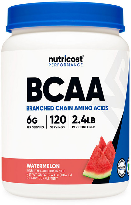 뉴트리코스트 BCAA 파우더 수박맛 120회분 1병, 1.089kg, 1개