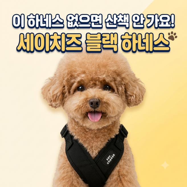 세이치즈 베이직 하네스 가슴편안 크로스 X자 초경량 메쉬 리드줄 세트, 1개, 블랙