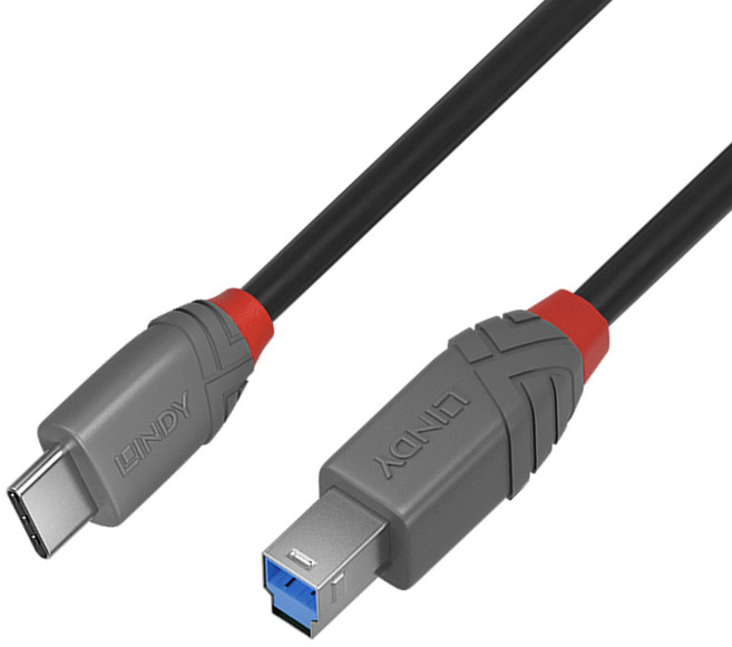 LINDY USB-C 轉 USB-B 數據線, 36667 黑色, 1個, 2m
