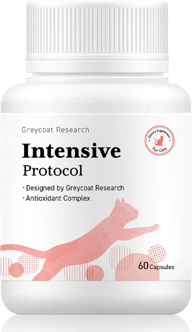 야옹섬 신부전 고양이 세포 집중 케어 신장 영양제 인텐시브 HCM 빈혈 2개월분, 60정, 1개 - 쿠팡