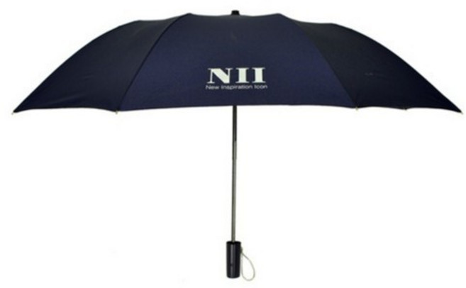 2단 자동우산 네이비 NII