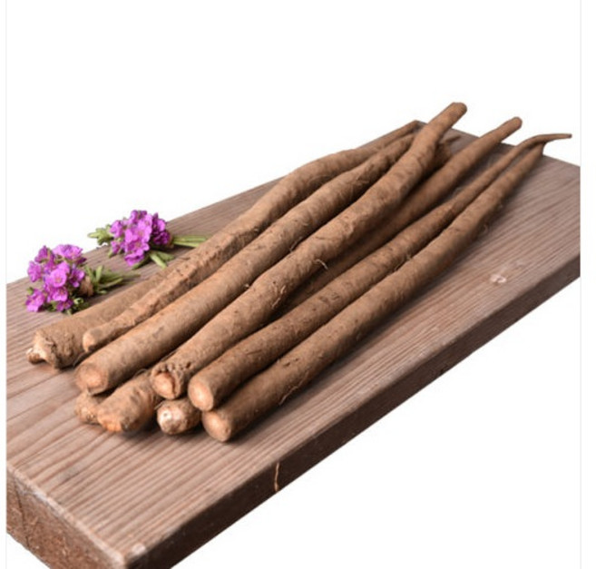 진주산 무농약 우엉 2kg, 1개, 우엉2kg(특)