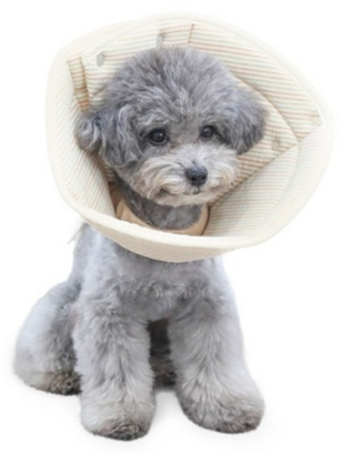 개놀자 오가닉 펜타곤 넥카라, 오트밀, 1개