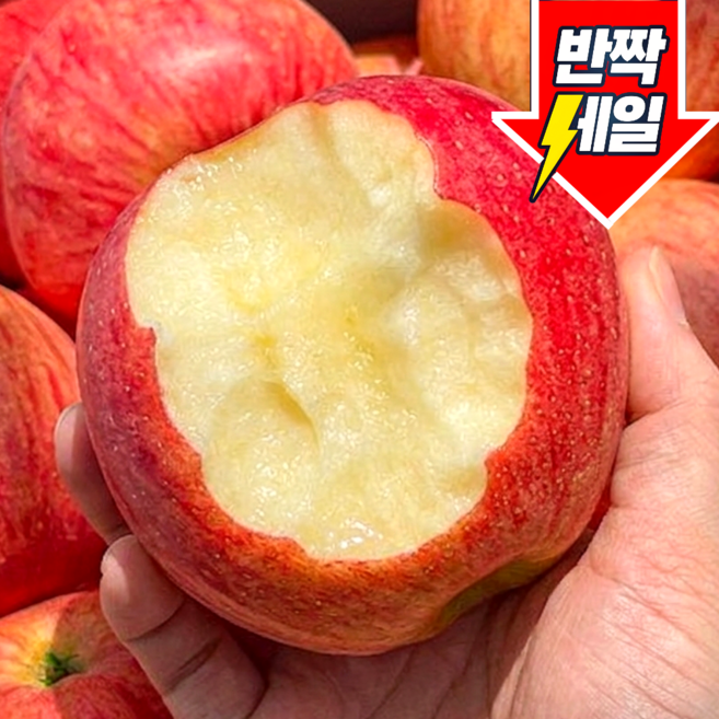 [단독초특가] 100박스한정 고당도 부사 사과, 1박스, 5kg