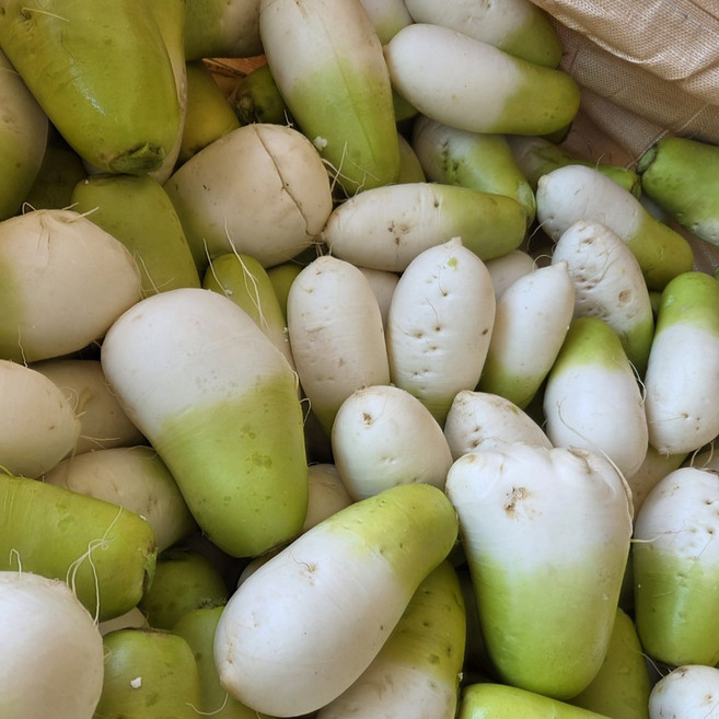 겨울 무의 정석 속이 꽉 찬 제주 월동 세척무 (못난이), 1박스, 3kg