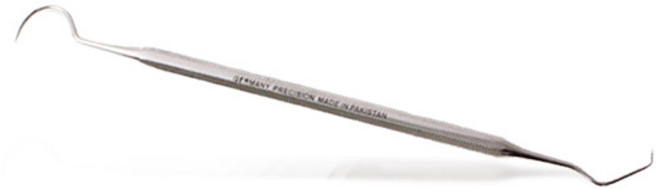 GERMANY PRECISION 치석제거기 기획, 12. F타입 치석제거기+탐침, 1개