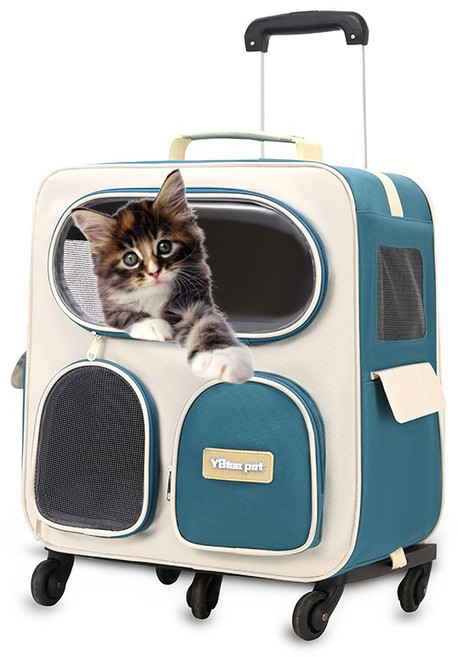 반려동물 이동식 백팩 캐리어 4륜 반려견 캐리어 고양이 강아지 이동가방 이동장 고양이이동장 강아지캐리어가방 고양이캐리어가방, 1개, 파란색-B