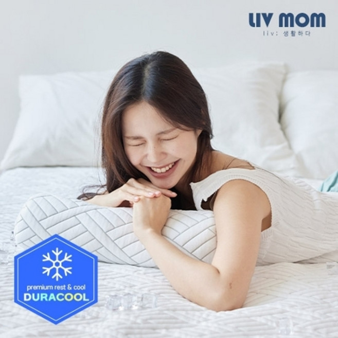 리브맘 안녕거북이 아이스쿨링 냉감 경추베개, 혼합색상, 1개