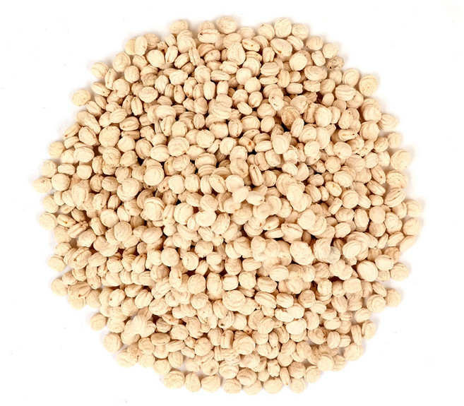 충남 금산 인삼씨 100g / 진생베리 인삼씨앗 말린인삼열매, 1개