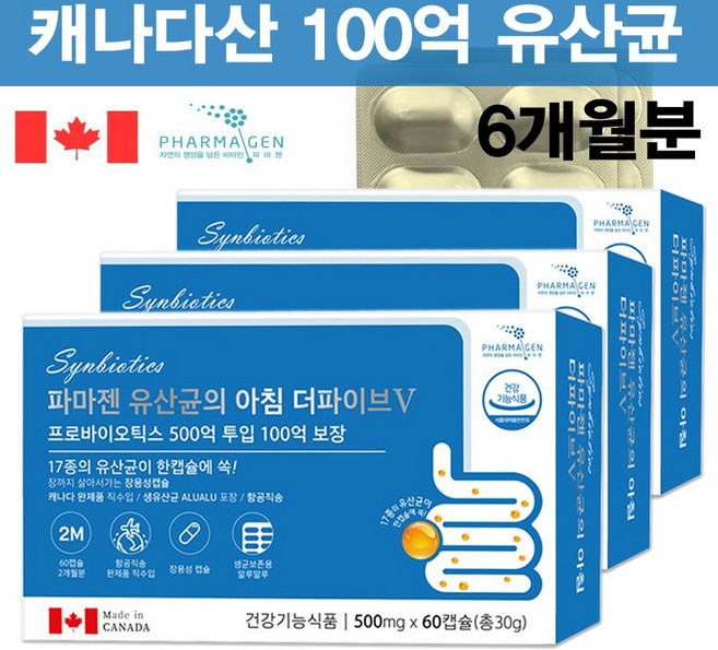 프로바이오생유산균 장까지살아가는 파마젠 100억보장 장용성 유산균 노인 임산부 프롤린 6개월분, 30g, 3개