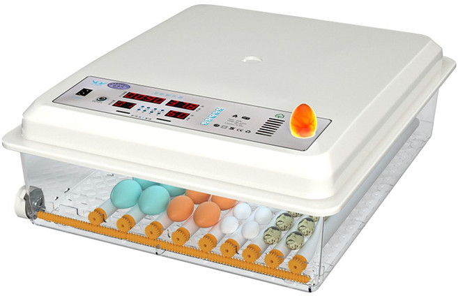 保溫孵化機 110V 不挑蛋種 可當保溫箱, 全自動64枚, 雙電款 孵蛋機