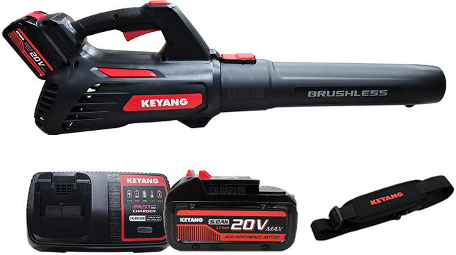 계양 20V 충전 대포송풍기 5.0 2팩 세트 낙엽 블로워 제설기 18V 호환, 1개