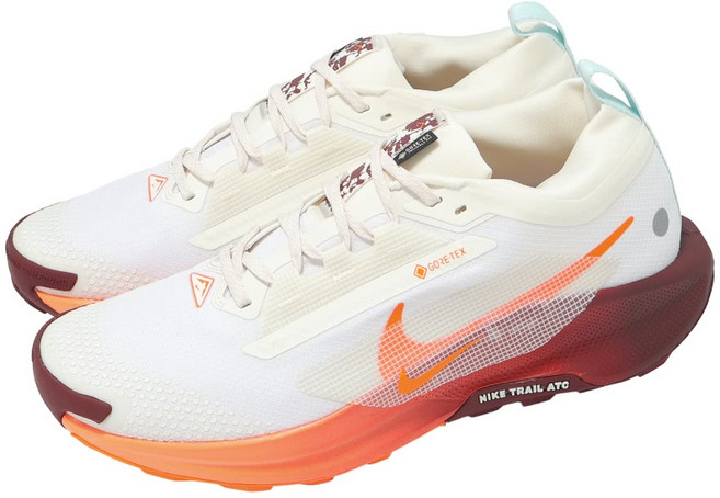 NIKE Pegasus GTX FQ0908-104 男鞋 米白紅 網布 防水越野跑鞋