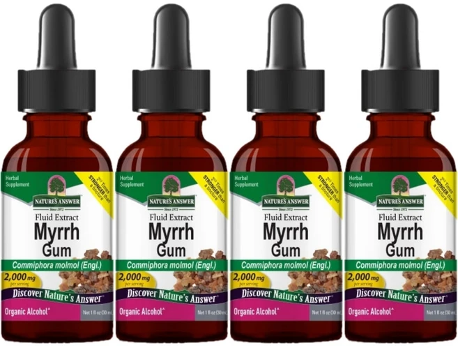 네이처스앤서 고흡수 몰약 검 2000mg 액상 액체, 4개, 30ml - 쿠팡