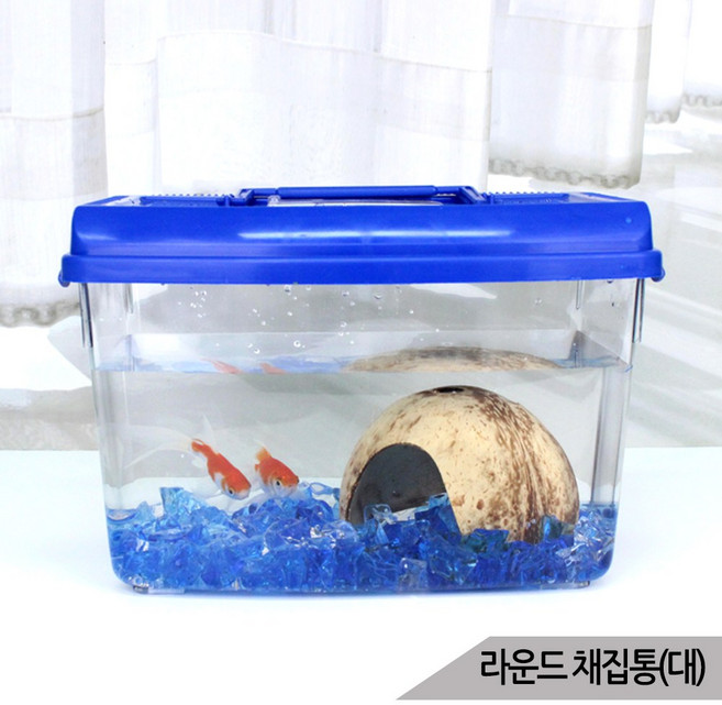대일 사각 라운드 채집통(대) 곤충 물고기 햄스터, 블루, 1개