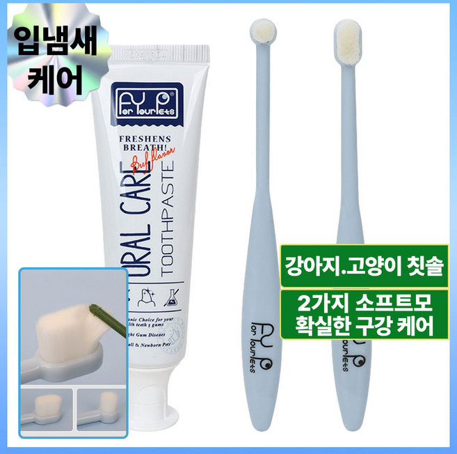 하이코이 강아지 치약 칫솔 세트 초미세모 2종 애견 덴탈케어 60g, 1개