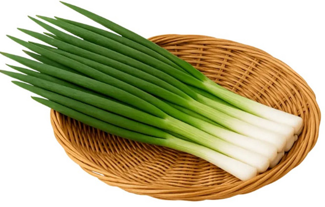 의령농산 건강채소 국내산 깐대파 400g/1kg/2kg, 1박스, 400g