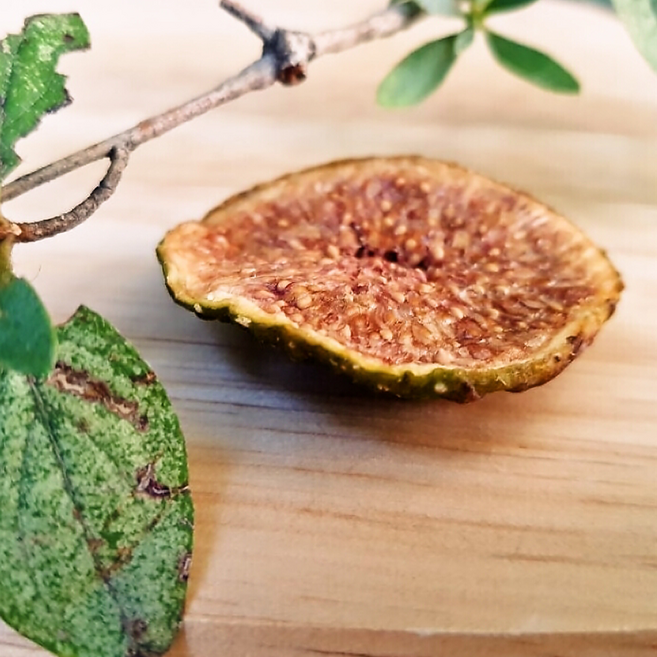 해남 햇 청무화과 통째로 반건조 무화과 100g 200g 국산 쫀득한 건과일 말랭이 설탕무첨가 천연 웰빙 영양 간식 어르신 부모님 출출할때 사무실 주전부리 와인 안주 디저트 1개, 청무화과 통째로 말린 건무화과 200g