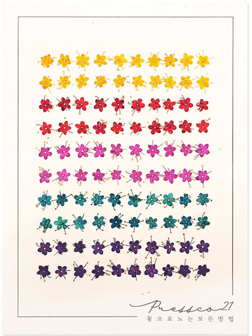 프레스코21 압화 꽃송이 가막살(5색/국내산) 100p