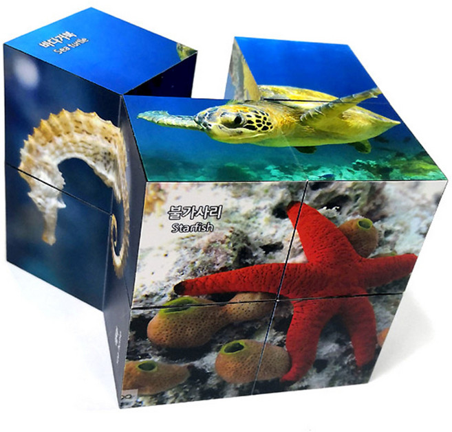 수족관 해양생물 매직큐브, 1개