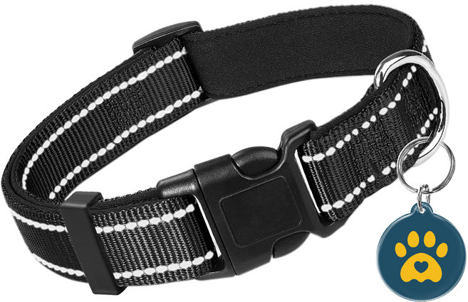 포덕트 안전한 3in1 강아지 목줄 스마트 인식표 이름표, 1세트, 블랙