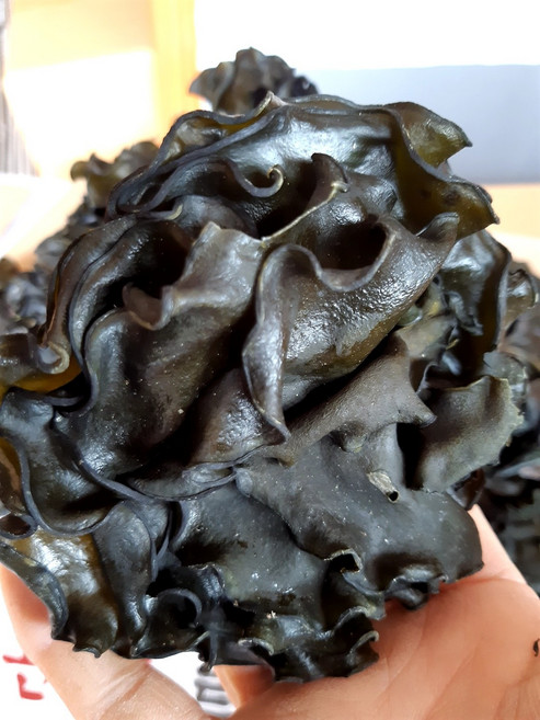 완도산 햇 미역귀 300G 1봉 자연해풍건조 풍부한 영양소 다양한요리 주전부리, 1개