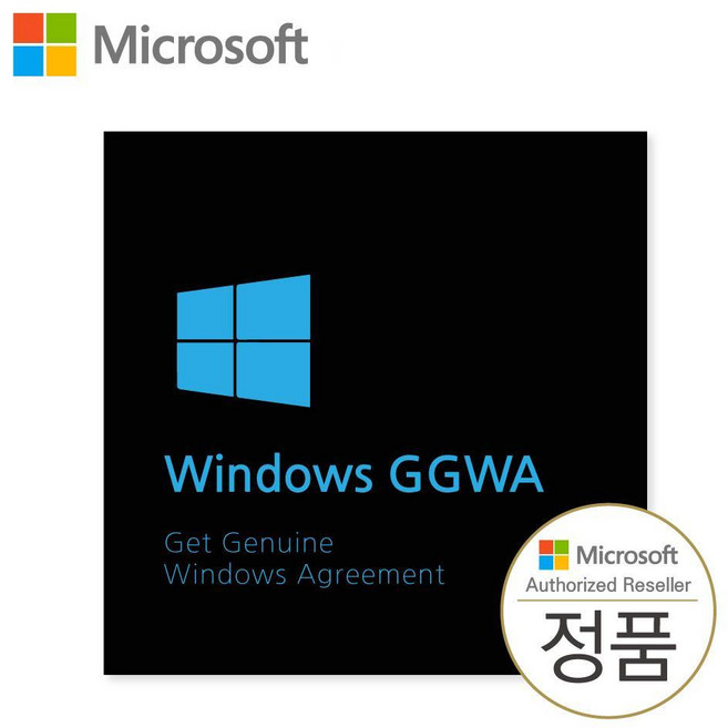 [마이크로소프트] Windows 11 Pro GGWA 영구 라이선스 (기업용/윈도우11프로 정품/하위버전 사용가능)