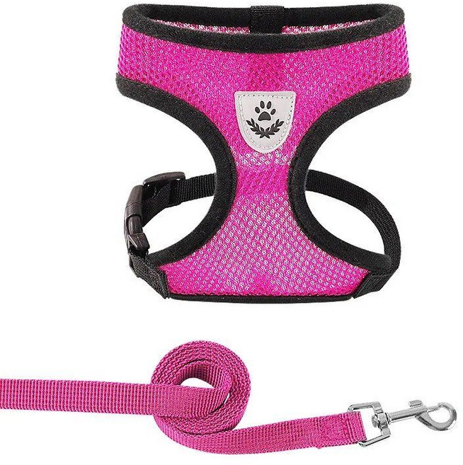 가슴줄 강아지 산책 애견 목줄 야외, Rose Red