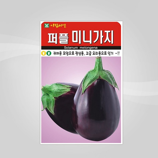 슬로시 슬로시 열매 씨앗 고추 토마토 콩 씨 종자, 1개
