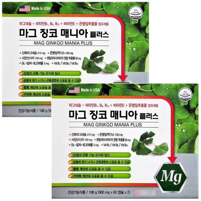 마그 징코 매니아플러스120캡슐x2박스 마그네슘 비타민B 은행잎추출물 비타민E, 2개, 120정