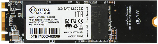 VIVA 300s M.2 LITE SSD, 1TB, 상세페이지 참조