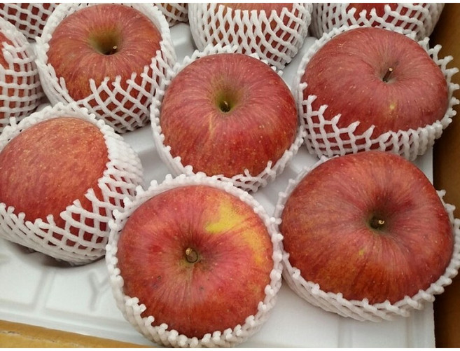 청정경북 자연의맛 정품 부사 사과. 5kg/박스, 1박스, 5kg 대과 ( 10-14과)