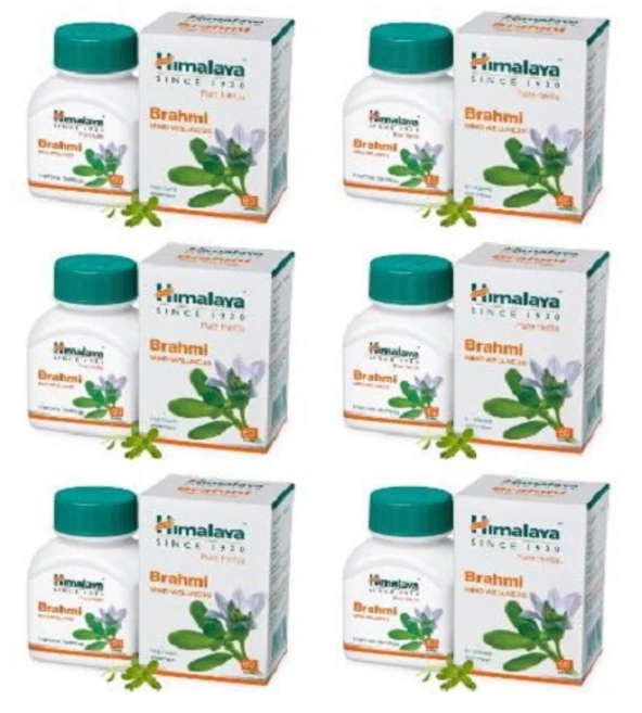인도 히말라야 브라미 Brahmi 60정 X 6세트 기억력 영양제, 6개, 120정 - 쿠팡