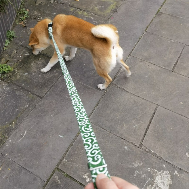 LongFatoys 일식 강아지 목줄 방울 개목걸이 당초무늬 시바견 개줄 소형견 웰시코기 푸들, 녹당초항권+견인끈, 1개
