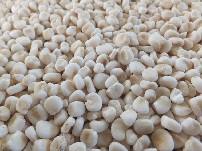 강원 영월 찰옥수수알 25년 1kg 거피 뻥튀기, 1개, 찰옥수수알(껍질벗긴거)