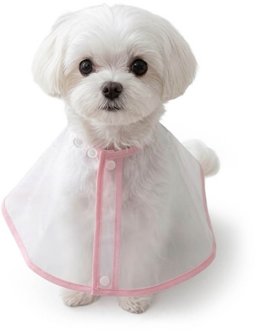 견행묘행 강아지 세안보 셀프 애견미용커트보, 1개, 핑크