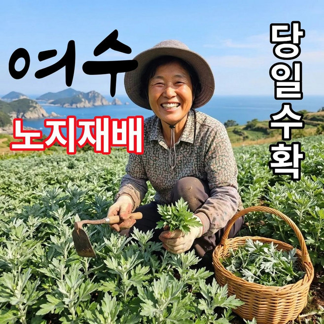 더맛곳간 국산 여수 거문도 생쑥 햇쑥 노지 쑥 해풍쑥 쑥떡용 쑥국용 국내산, 3kg, 1개