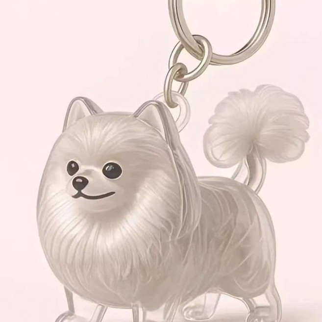 디에르니 강아지 털 보관 키링 투명 캡슐 반려견 펫로스 메모리얼 키홀더, 1개, 꼬리포메st