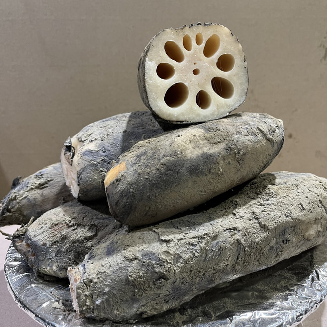 국내산 햇 연근 흙 숫연근 암연근 반찬용 튀김용, 1kg, 특품 (암연근), 1개, 1kg