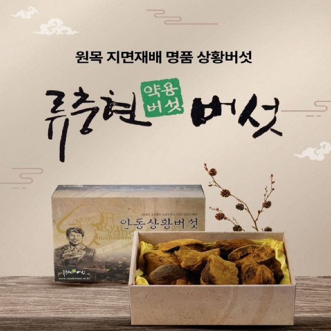 국산 상황버섯 약용버섯 중품 500g, 1개, 상세페이지 참조