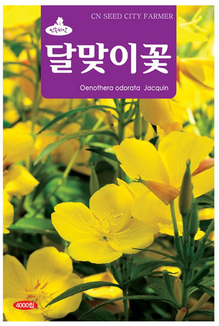 (CN) 달맞이꽃 씨앗 (4000립), 1개