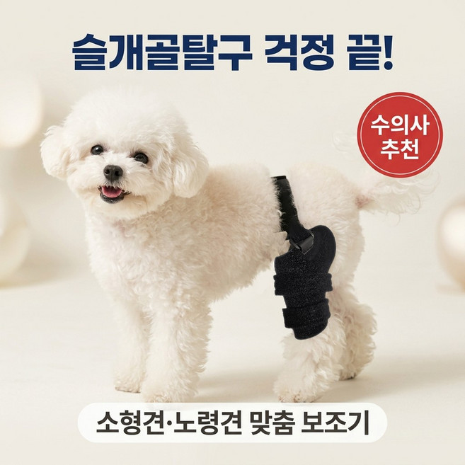 강아지 슬개골 보호대 소형견 관절보호대 뒷다리 보조기 의료기기 아임펫벳, 1개, 3L