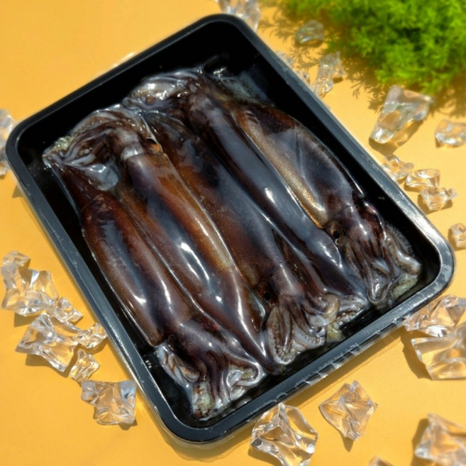 [로지프로] 동해 자연산 활오징어 5미 국산생물오징어, 생물오징어 5미 750g내외 & 초장1팩