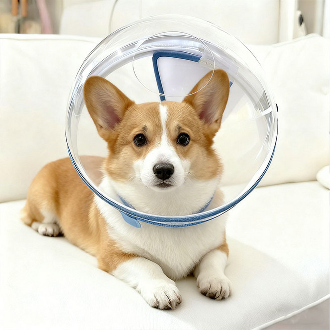 [대욱]애견 넥카라 강아지 핥기 방지 및 물기 방지 헤드기어 핥기 방지 목걸이 깊은 후드 목걸이, 1개, 파란색