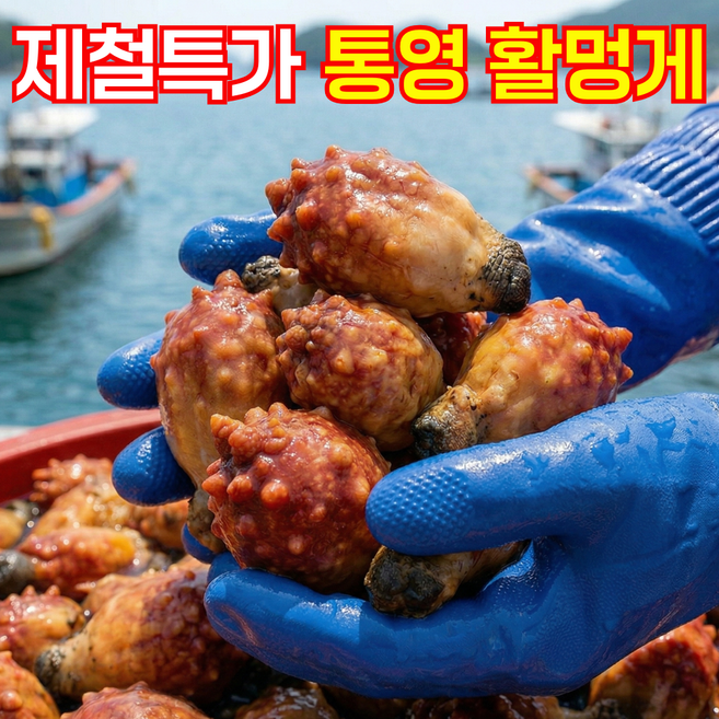[역대급가성비] 당일조업 국산 통영 활 멍게, 1박스, 6kg
