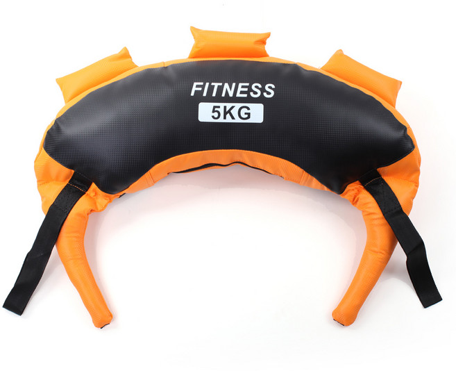 정수생활건강 불가리안백 신형 지퍼식 파워백 홈트레이닝 5~20 kg, 5kg