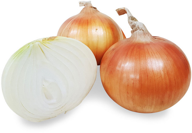 현이파머스 국내산 25년 양파, 1개, [특가] 중 사이즈 10kg