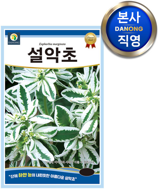 설악초 씨앗 500립 . 야광초 월광초 빙화 설화초 야생화 심기 키우기 꽃씨 종자, 1개