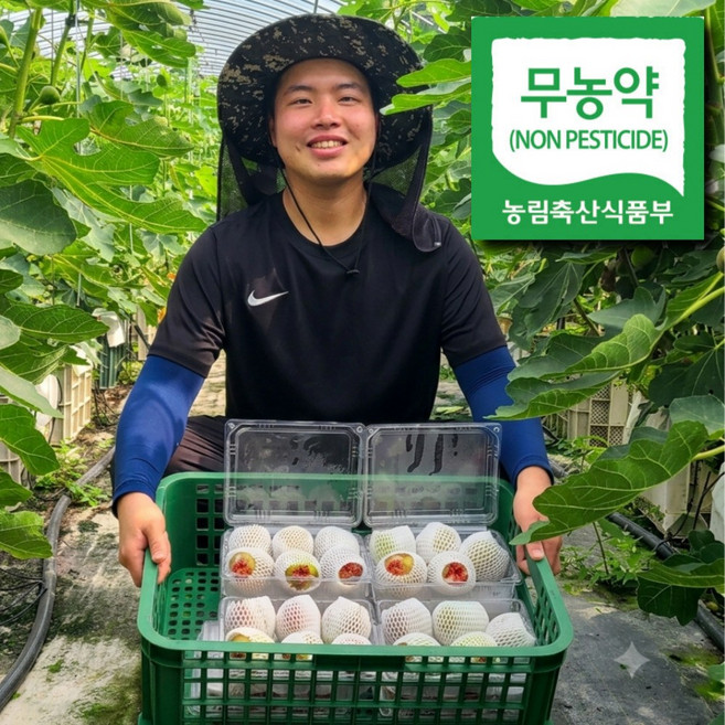무농약인증 영암 생 꿀 무화과, 1박스, 600g